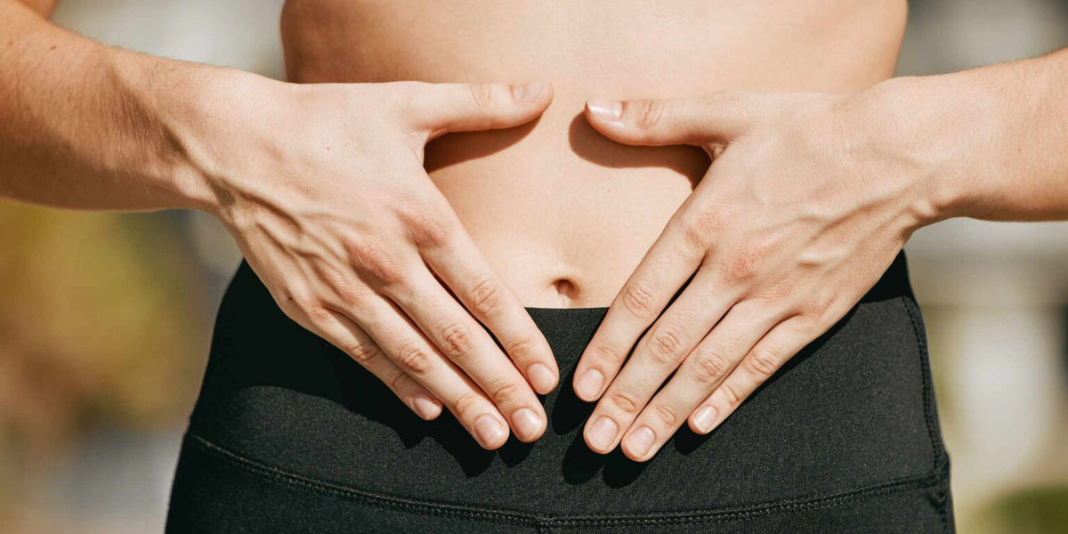 Gut health effects energy