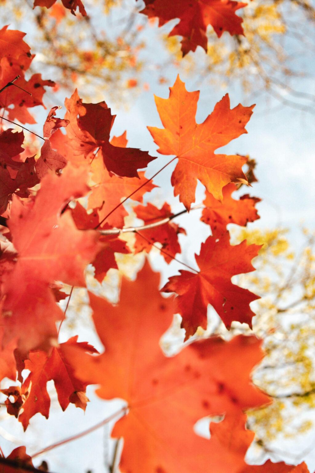 Autumn Self Care Tips