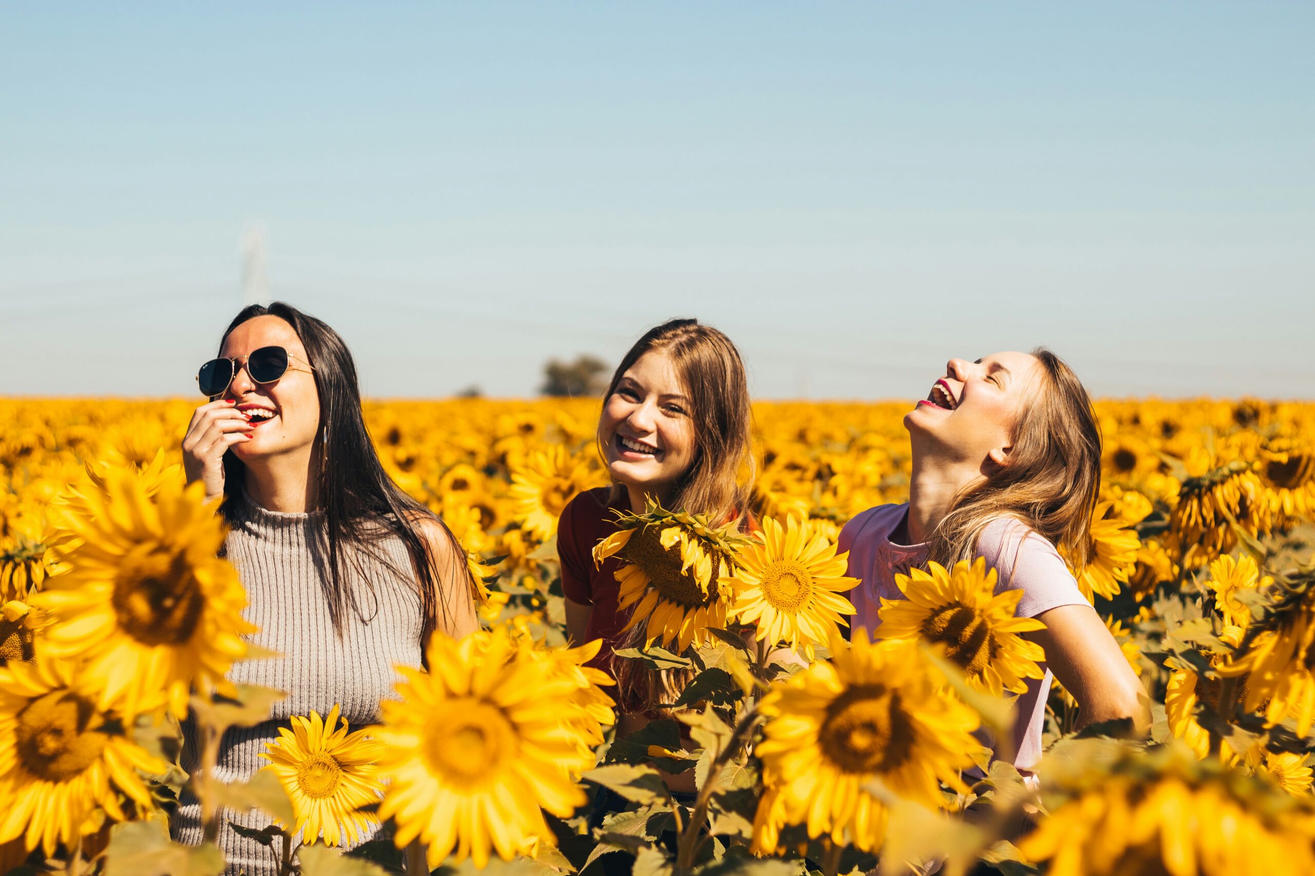 Girls in fields of sunflowers
